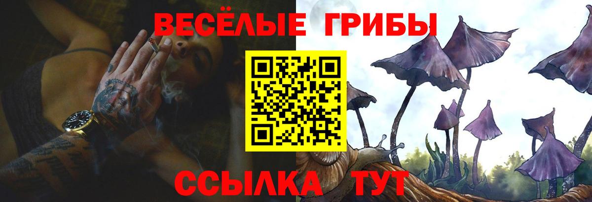Михайловск  Псилоцибиновые грибы GOLDEN TEACHER  Вход с VPN 